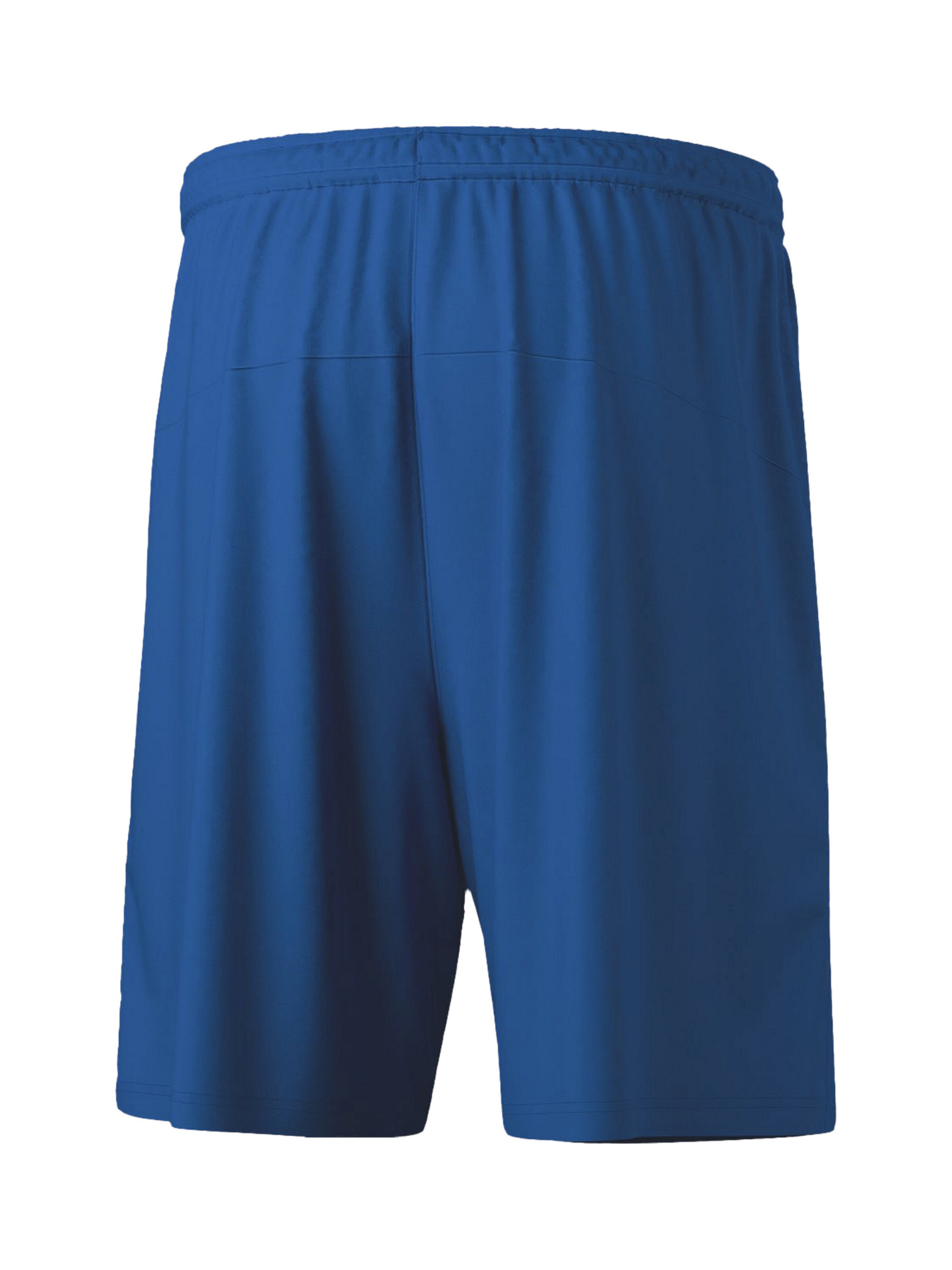 ERIMA Regularen Športne hlače 'Team' | modra barva
