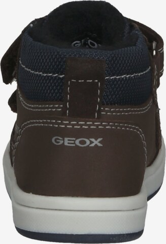 GEOX Sneakers in Brown