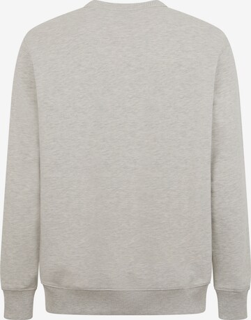 Sweat-shirt 'AITKIN ' DICKIES en gris