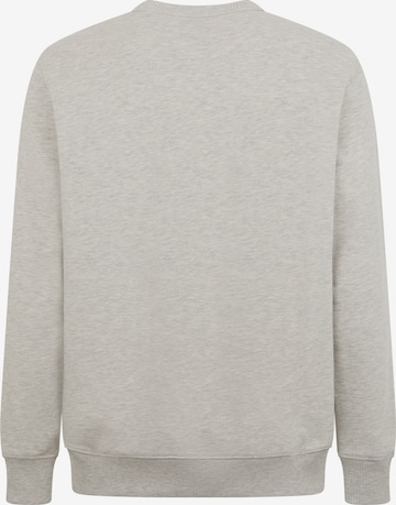 DICKIES Sweatshirt 'AITKIN ' i grå