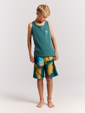 PROTEST Shirt 'PRTRemix JR' in Green