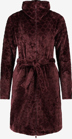 Hunkemöller Short Bathrobe in Brown: front