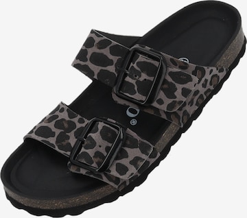 Palado Pantolette 'Samos' in Grau: Vorderseite