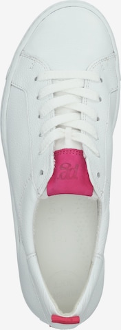 Paul Green Sneakers in White