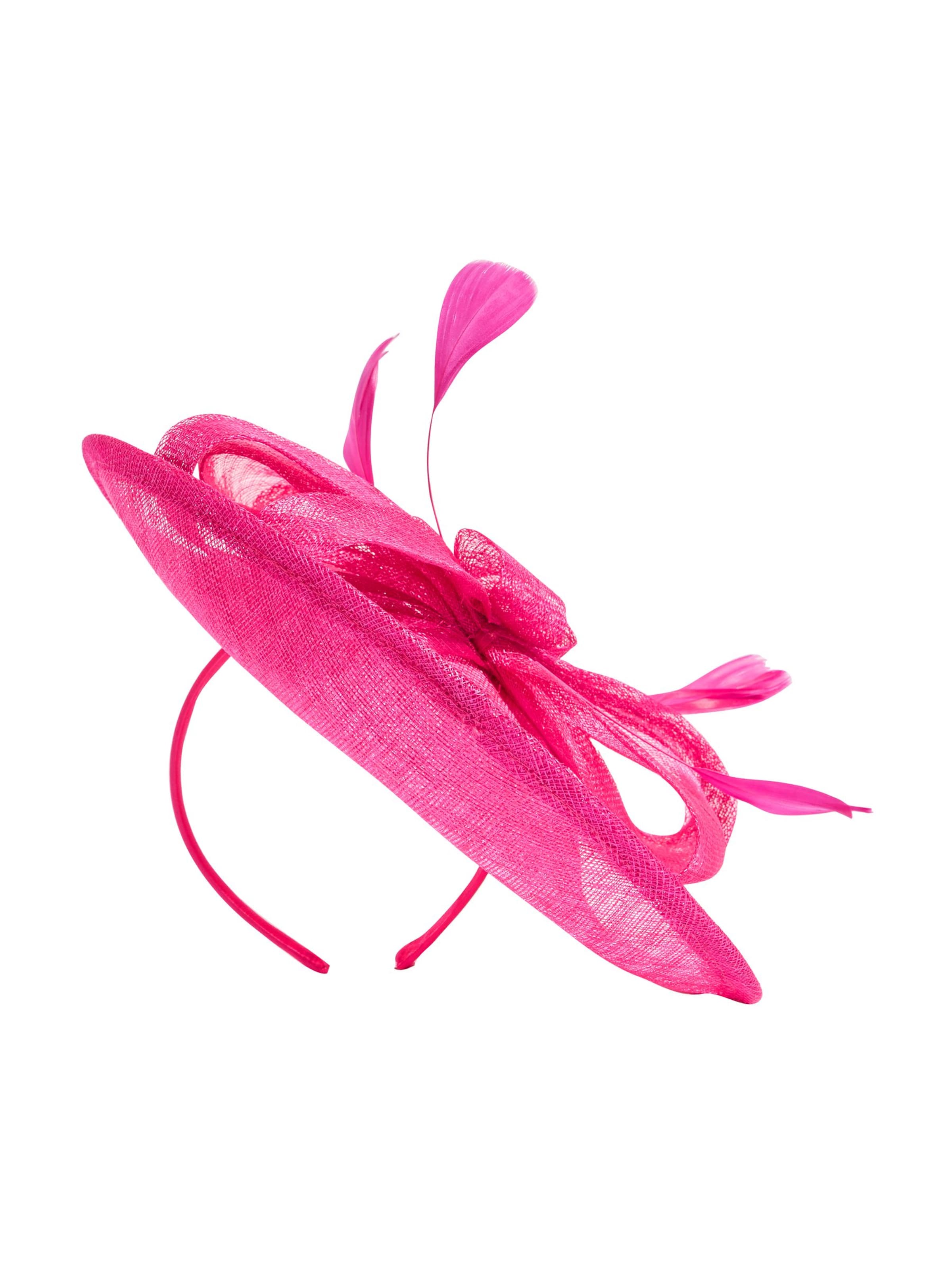 Ornement pour cheveux Lipsy en rose : devant