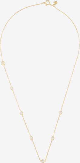 MICHAEL Michael Kors Necklace in Gold / Transparent, Item view