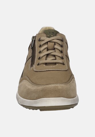 JOSEF SEIBEL Schnürschuh 'ENRICO 33' in Beige