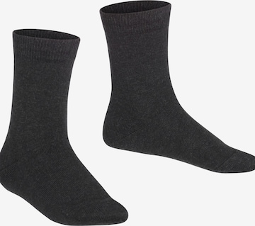 FALKE Socks 'Family' in Grey: front