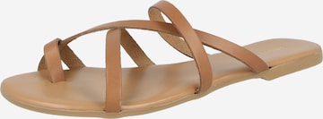 Séparateur d'orteils 'Eleni' ABOUT YOU en marron : devant