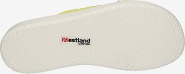 Westland by JOSEF SEIBEL Mules 'Albi' in Yellow