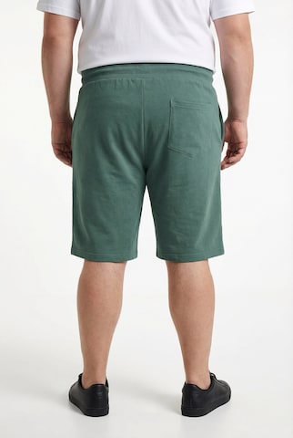 Men Plus Regular Trousers in Green
