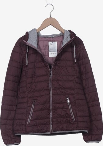 Winter Jacket Esprit Jacke In Esprit Jacke Mit Fell Esprit Steppjacke