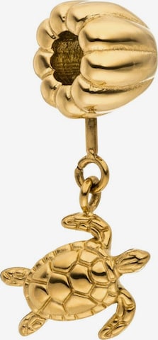 PURELEI Anhänger 'Tortoise' in Gold: Vorderseite