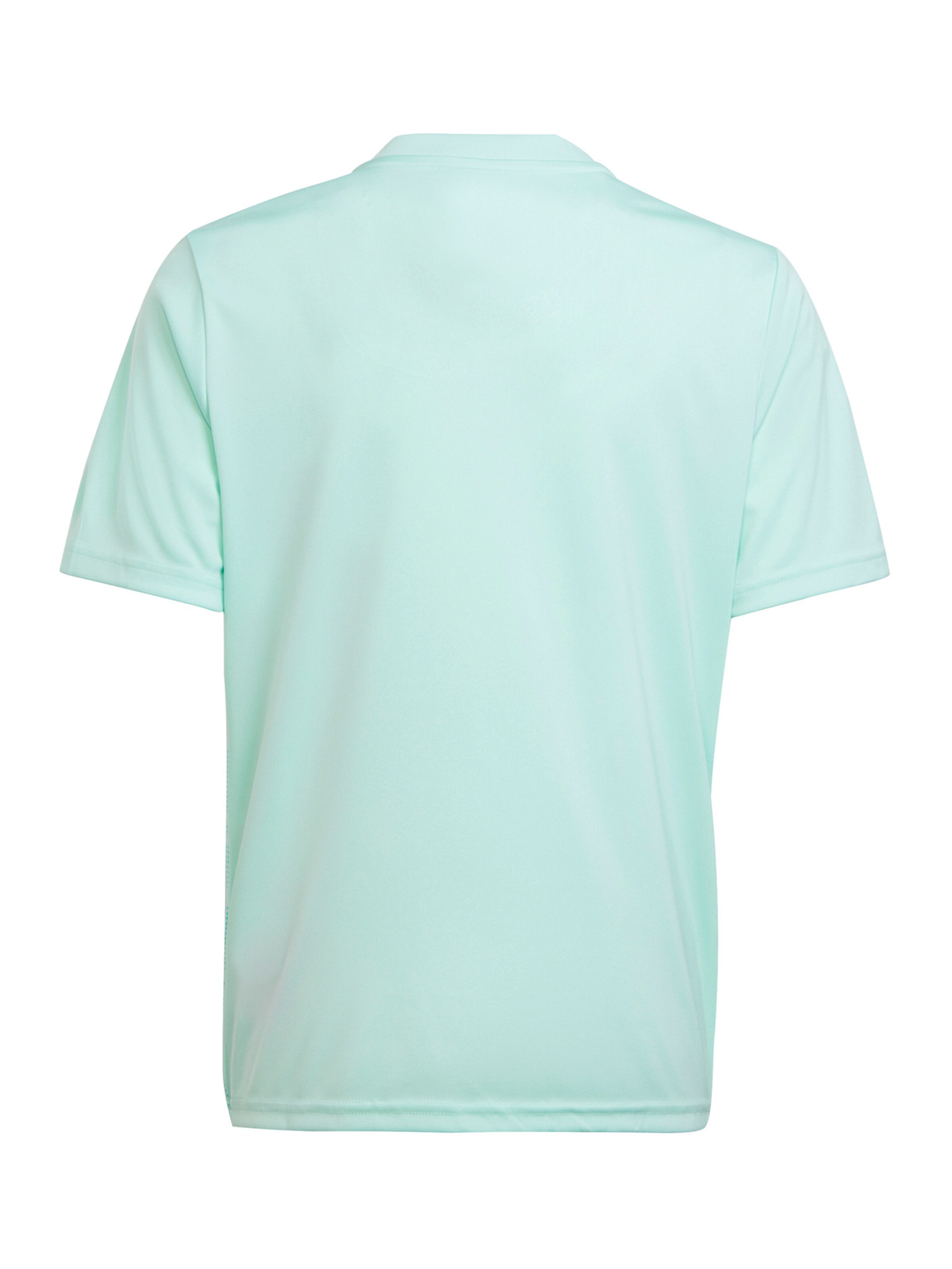 ADIDAS PERFORMANCE Funktionsshirt in Grün