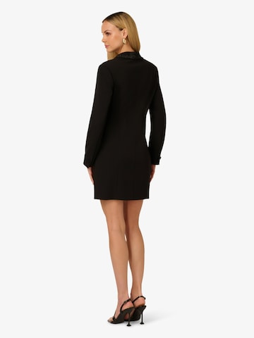 Adrianna Papell Kleid in Schwarz
