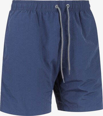 Cruz Board Shorts in Blue: front