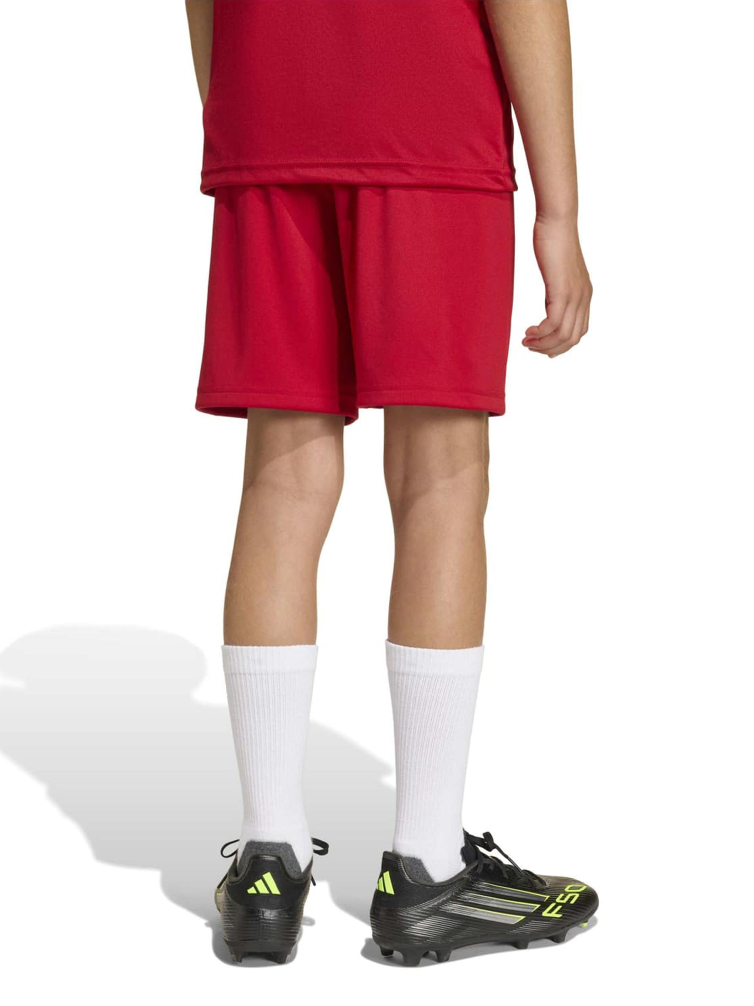 ADIDAS PERFORMANCE tavaline Spordipüksid 'ENT26', värv punane