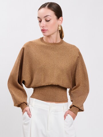 Influencer Sweater in Brown: front