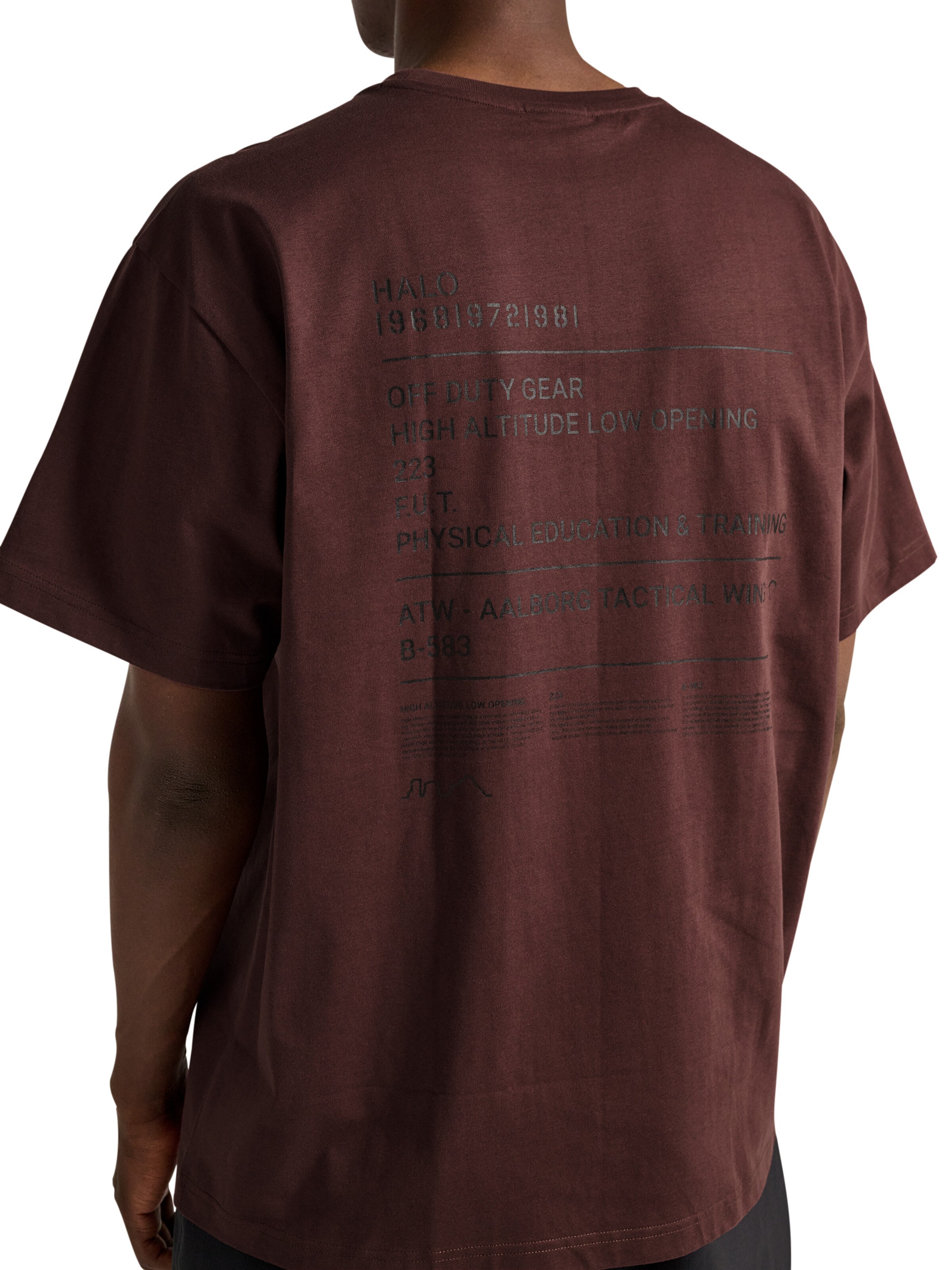 HALO T-Shirt in Braun