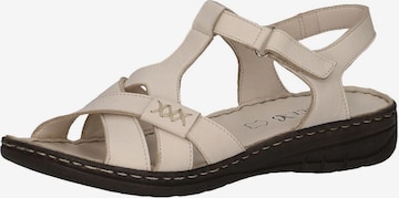 CAPRICE Sandalette in Beige: predná strana