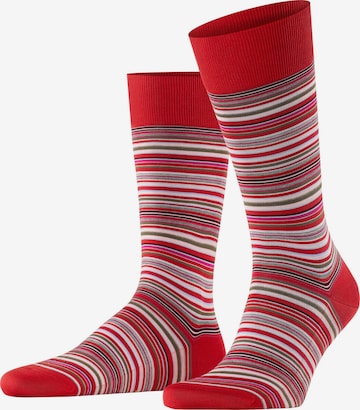 FALKE Socken 'Microblock' in Rot: Vorderseite
