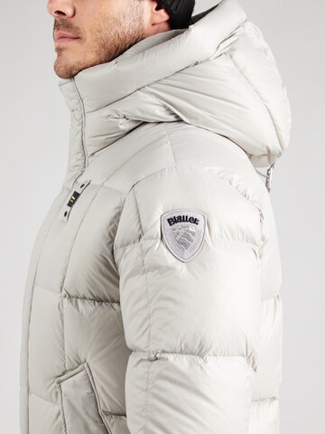 Blauer.USA Зимняя куртка в Серый