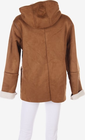 Kiabi Jacket & Coat in M in Brown