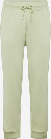 GANT Trousers in Green: front