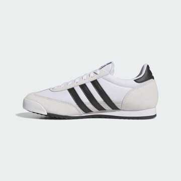 Sneaker bassa 'R71' di ADIDAS ORIGINALS in bianco