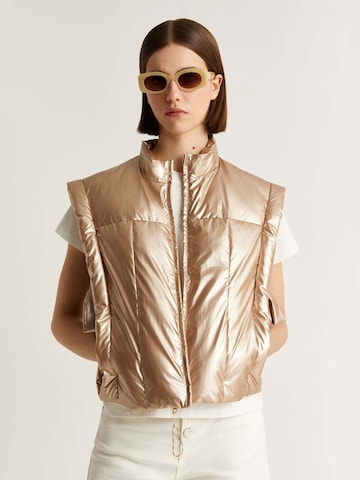 Scalpers Vest in Gold: front