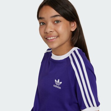 ADIDAS ORIGINALS Shirt 'Adicolor' in Lila