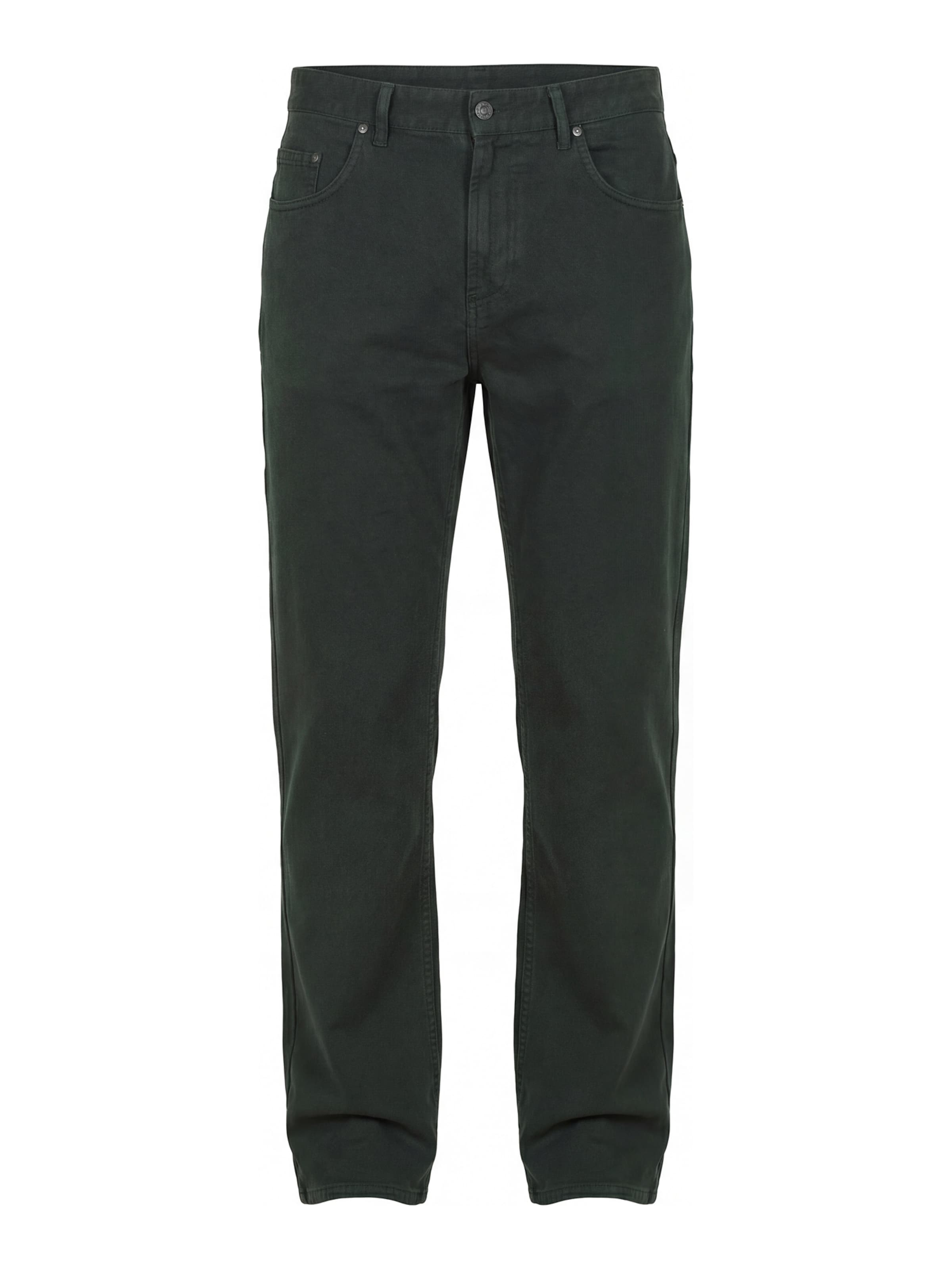 Carrera Jeans Loosefit Hose 'Replica Bull'‌‌‌‌‌‌ in Grün: Vorderseite