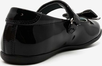 Nero Giardini Ballet Flats in Black