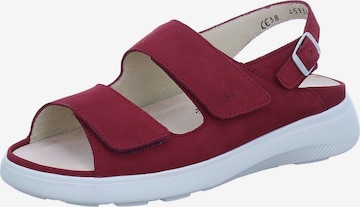 Finn Comfort Sandals 'Apia' in Red: front