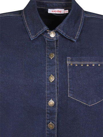 Anyday Shirt 'Pome 411' in Blauw