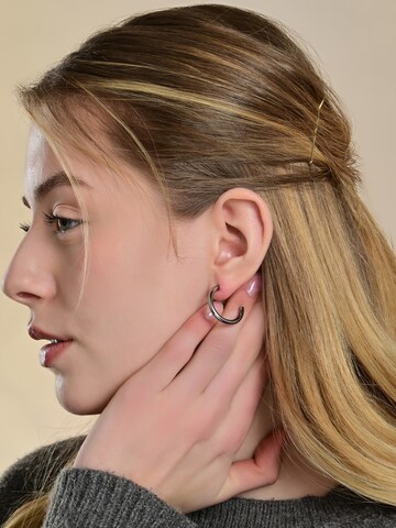 Akzent Earrings 'langlebig' in Silver: front