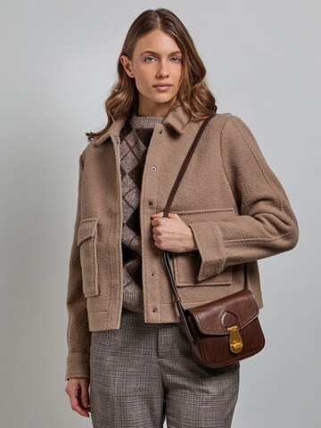The Bridge Crossbody bag in Brown