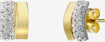 Boucles d'oreilles Lucardi en or : devant