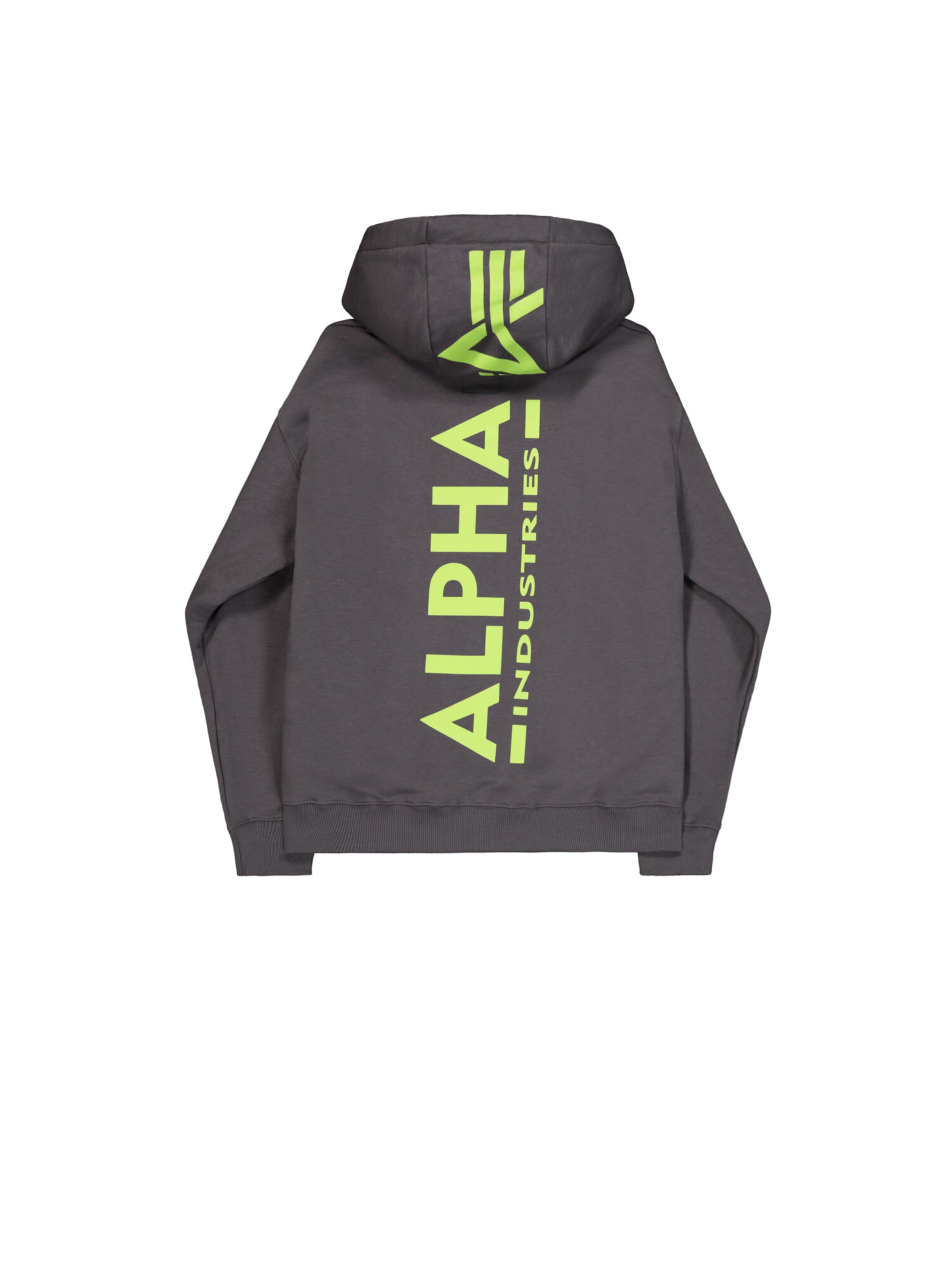 ALPHA INDUSTRIES Sweatshirt 'Backprint' in Grey: front