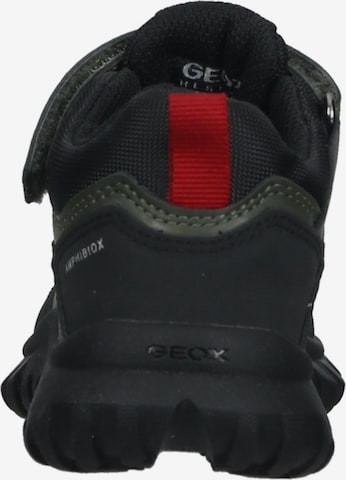 GEOX Sneakers in Groen