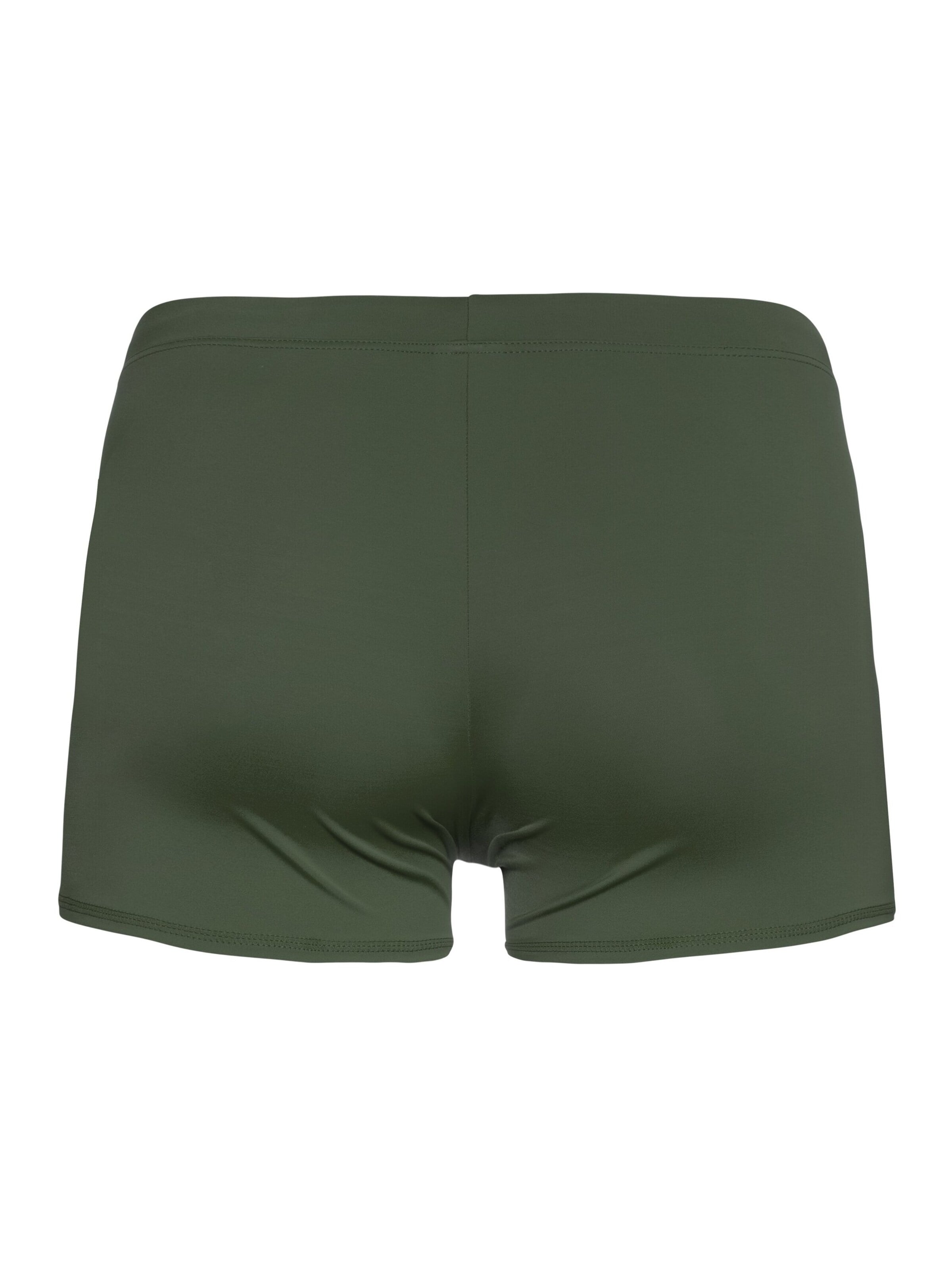 PROTEST Bathing trunks 'CARST' in Green
