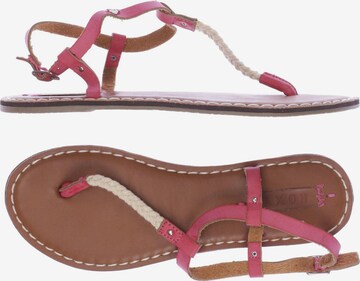 ROXY Sandals & High-Heeled Sandals in 39 in Pink: front