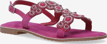 VENEZIA Strap Sandals 'Venezia' in Pink: front