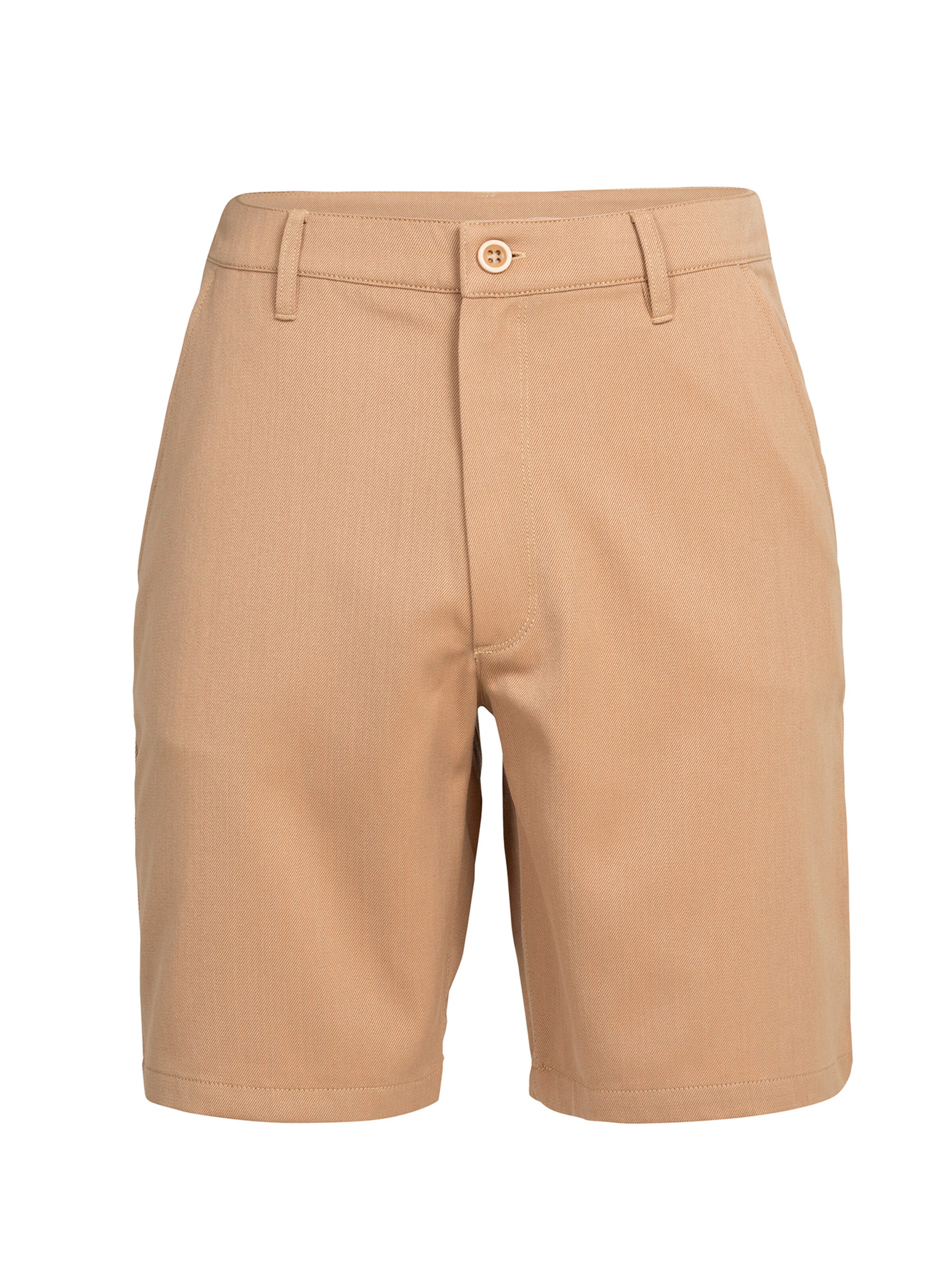 ICEBREAKERregular Hlače za vanjske uvjete 'Berlin' - bež boja: prednji dio