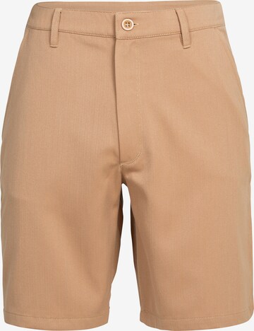 ICEBREAKER Regular Outdoorhose 'Berlin' in Beige: predná strana