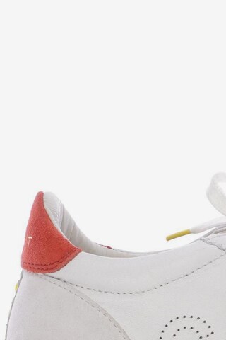 Crickit Sneakers & Trainers in 40 in White