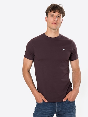 T-Shirt Iriedaily en marron : devant