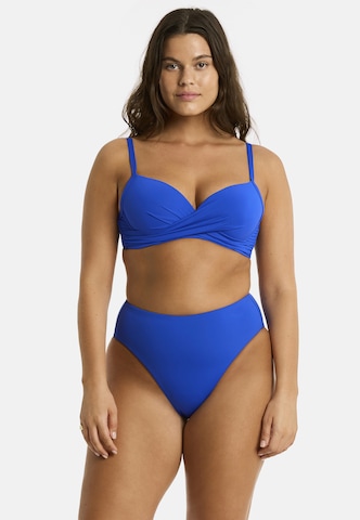 SEA LEVEL Push-up Bikinitop 'Essentials' in Blau