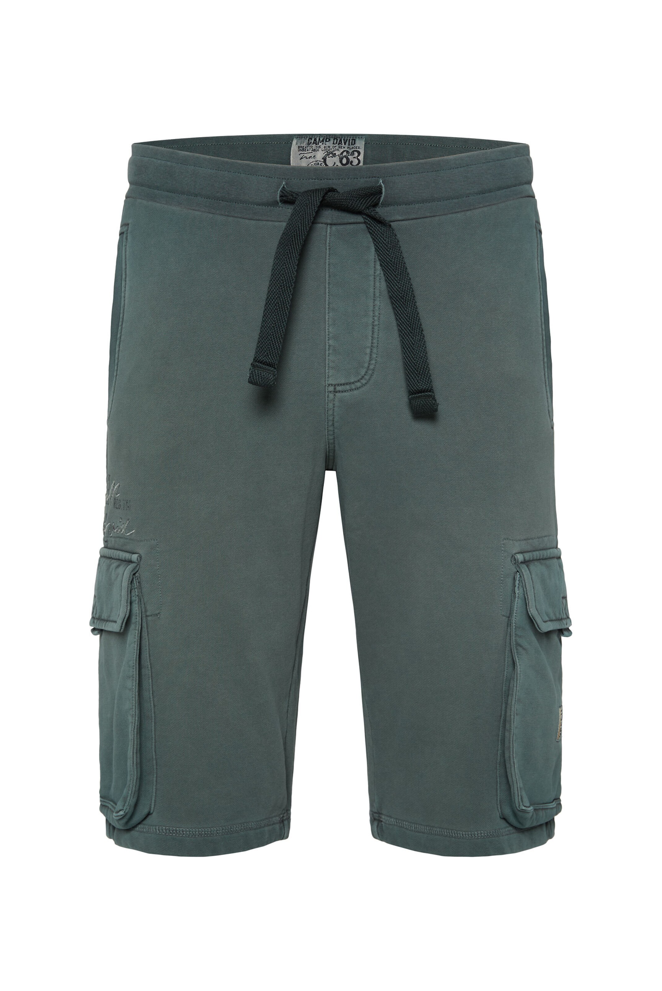 Regular Pantalon cargo 'Tree House' CAMP DAVID en vert : devant