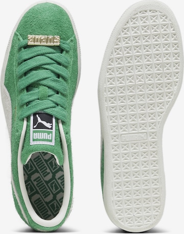 PUMA Sneakers in Green